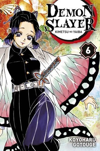 Demon slayer T.06 : Demon slayer