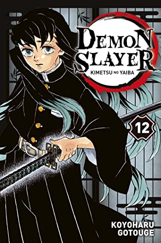 Demon slayer T.12 : Demon slayer