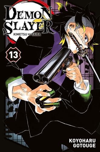 Demon slayer T.13 : Demon slayer