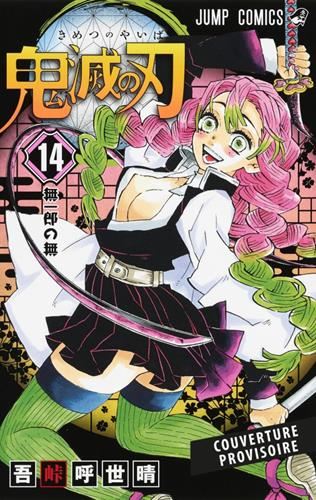Demon slayer T.14 : Demon slayer