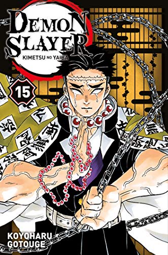 Demon slayer T.15 : Demon slayer