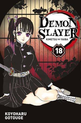 Demon slayer T.18 : Demon slayer