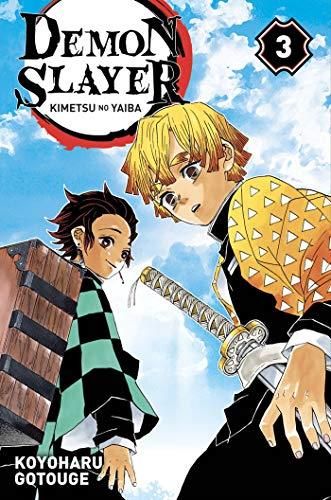 Demon slayer t.03